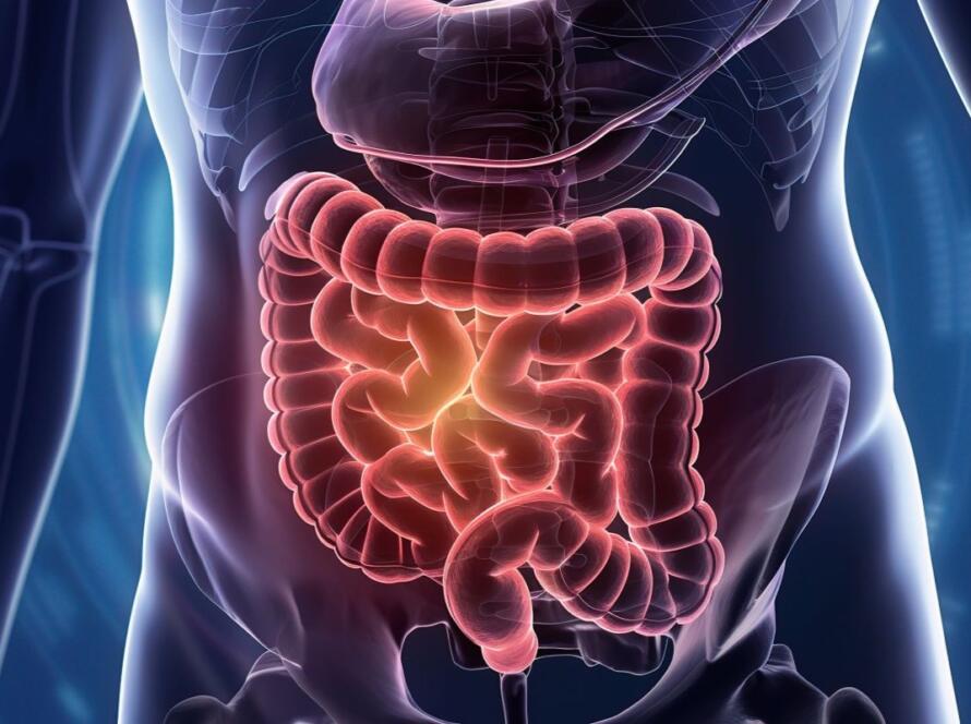 quando sospettare occlusione intestinale